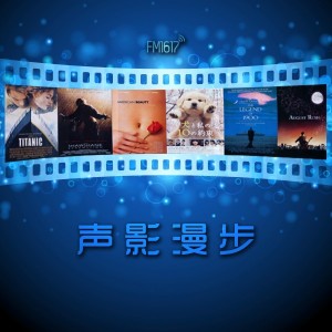 声影漫步这个杀手不太冷