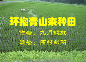 作品简介