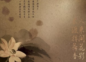 千年的愿望