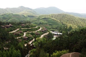 来唐风小院,梦回大唐风情