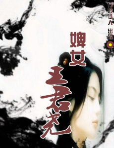 婢女王君