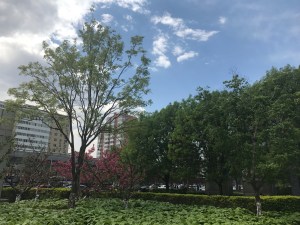 《什么是好工作》作者:胡震宁