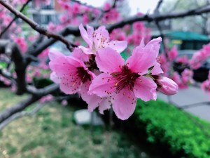 《如何提升自己的自信》