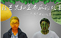 陈芒果和王西瓜的故事