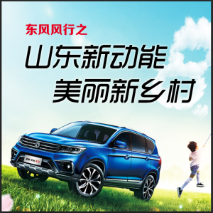 【临沂站】东风风行中裕店展厅经理 王宁