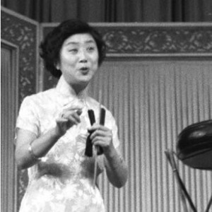 阎秋霞 京韵大鼓 宝玉探晴雯