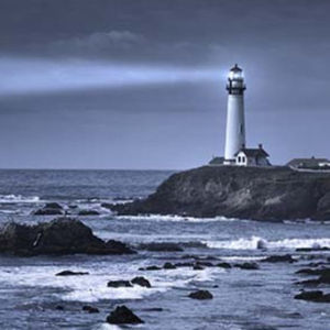 Harbor Lights: Losing a beloved animal