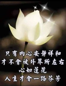 当你静下心来的时候
