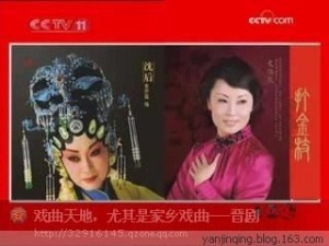晋剧梅花版 《打金枝》史佳花“劝宫”