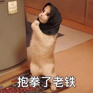 选择去依赖,还是选择独立、创新?