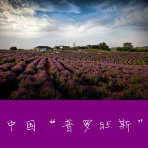【旅行背包客】中国“普罗旺斯”-NJ暮锦