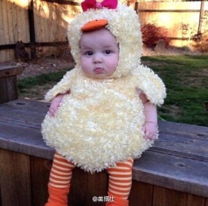 脸型与发型~鹅蛋脸