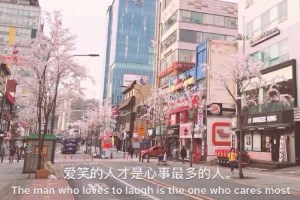 你那么懂事,难怪他不心疼你