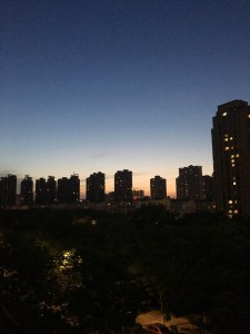 公益与生命的一致性