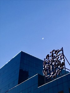《什么是好工作》作者:胡震宁