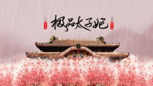 【极品太子妃】第三期