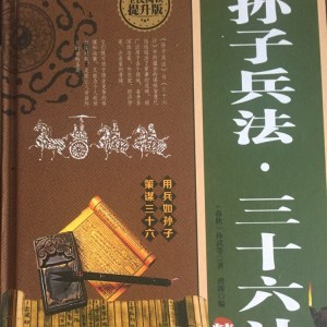 三十六计之 将计就计