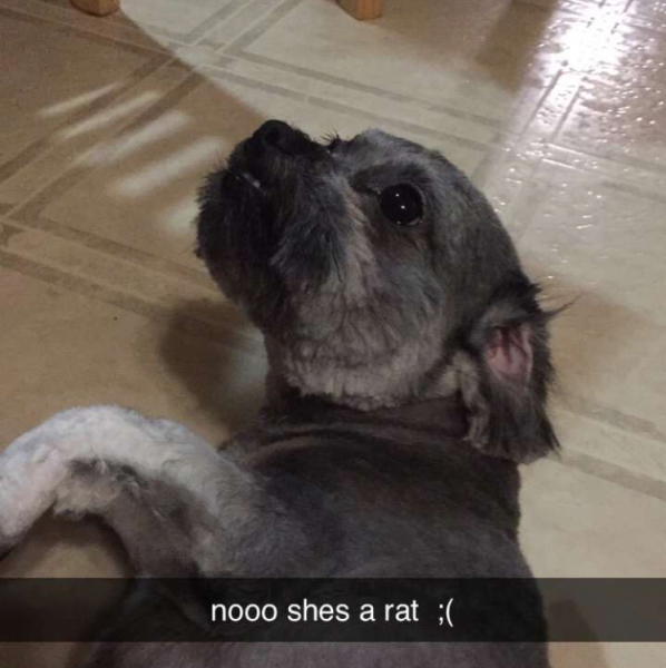 title
