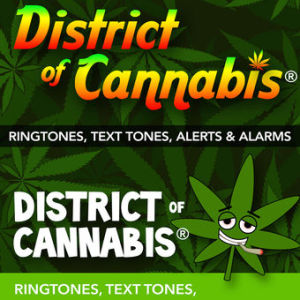 Marijuana