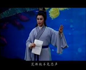 越剧 竺小招《柳毅传书-血书千钧重骨肉一纸轻》