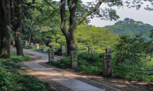 题名坡
