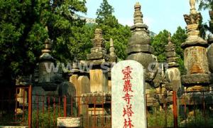 墓塔林