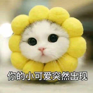 主播来了-桃子