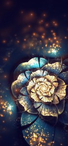 大马士革玫瑰~皮肤暗沉、老化、眼部、经前情绪、胃口过好