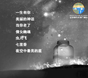 20170516音乐传情之仲夏夜之梦