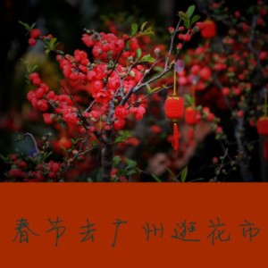 【旅行背包客】春节去广州逛花市-NJ晨曦