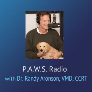 PAWS Radio – Dr. Randy Radio Pet Vet – Spay and Neuter, Scooter