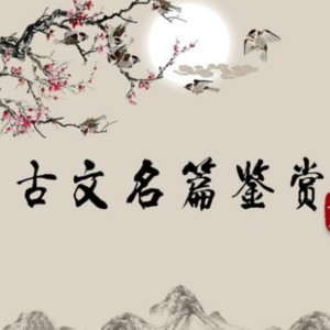 Day13邹忌讽齐王纳谏——刘向