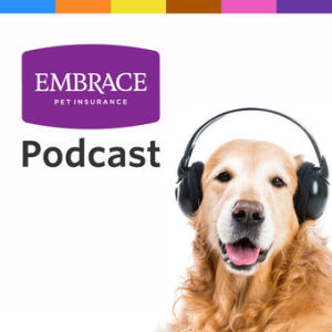 What's New in Wellness Care
