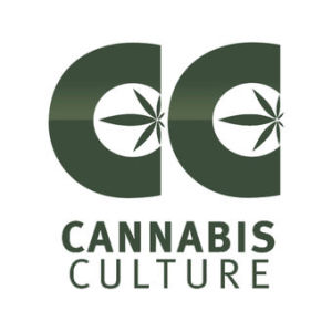 Expert Joints LIVE! - In High Orbit