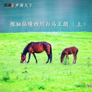 探秘仙境四川白马王朗 (上)