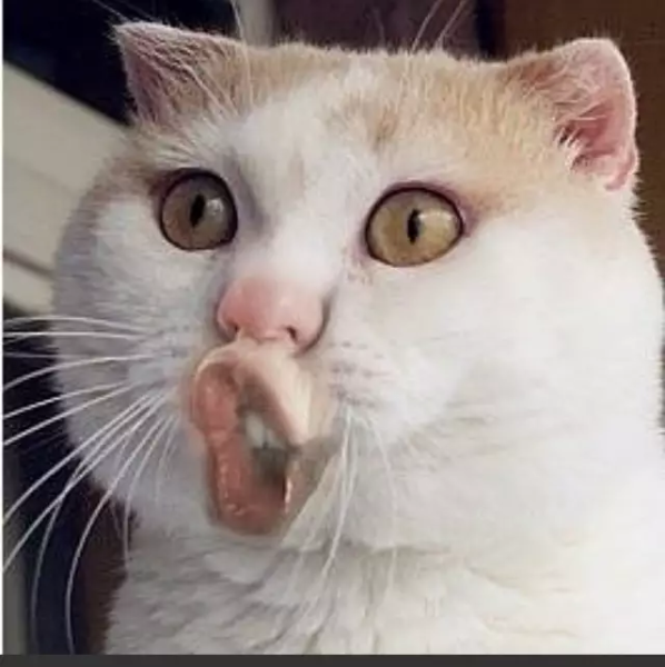 title