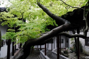 评弹 薛筱卿、郭彬卿《珍珠塔—赠塔》