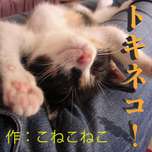 2-4