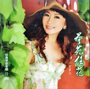 晋剧《大登殿》史佳花“金牌调 银牌宣”【CD】