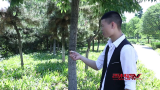 《吾林踢V》神奇的烟