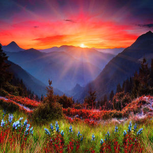 Who Am I ? Ramana Maharshi – Audio
