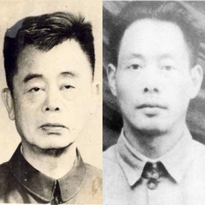 《七律▪答友人》