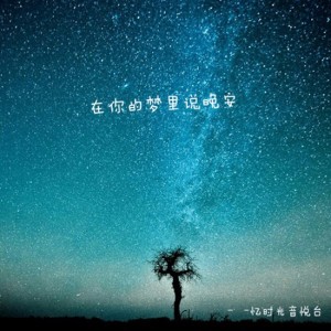 感谢那个你不放弃自己的夜晚 - 程风