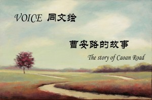 南审频道【VOICE同文绘】VOL507:曹安路的故事(下)