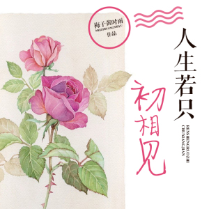 人生若只初相见 第2集 群:340456053