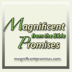 2nd Peter Lesson 6/Beware False Teachers Within the Church