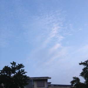 这是今天把我叫醒的音乐