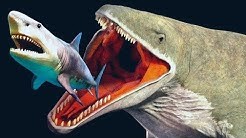 5 Criaturas Mas Peligrosas Que El MEGALODÓN