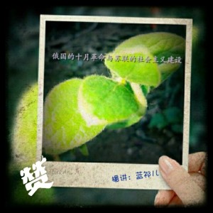 第四单元:第二次世界大战前的世界㈠
