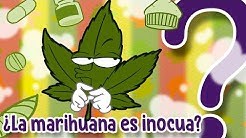 La marihuana ¿es nociva o saludable? - CuriosaMente 227